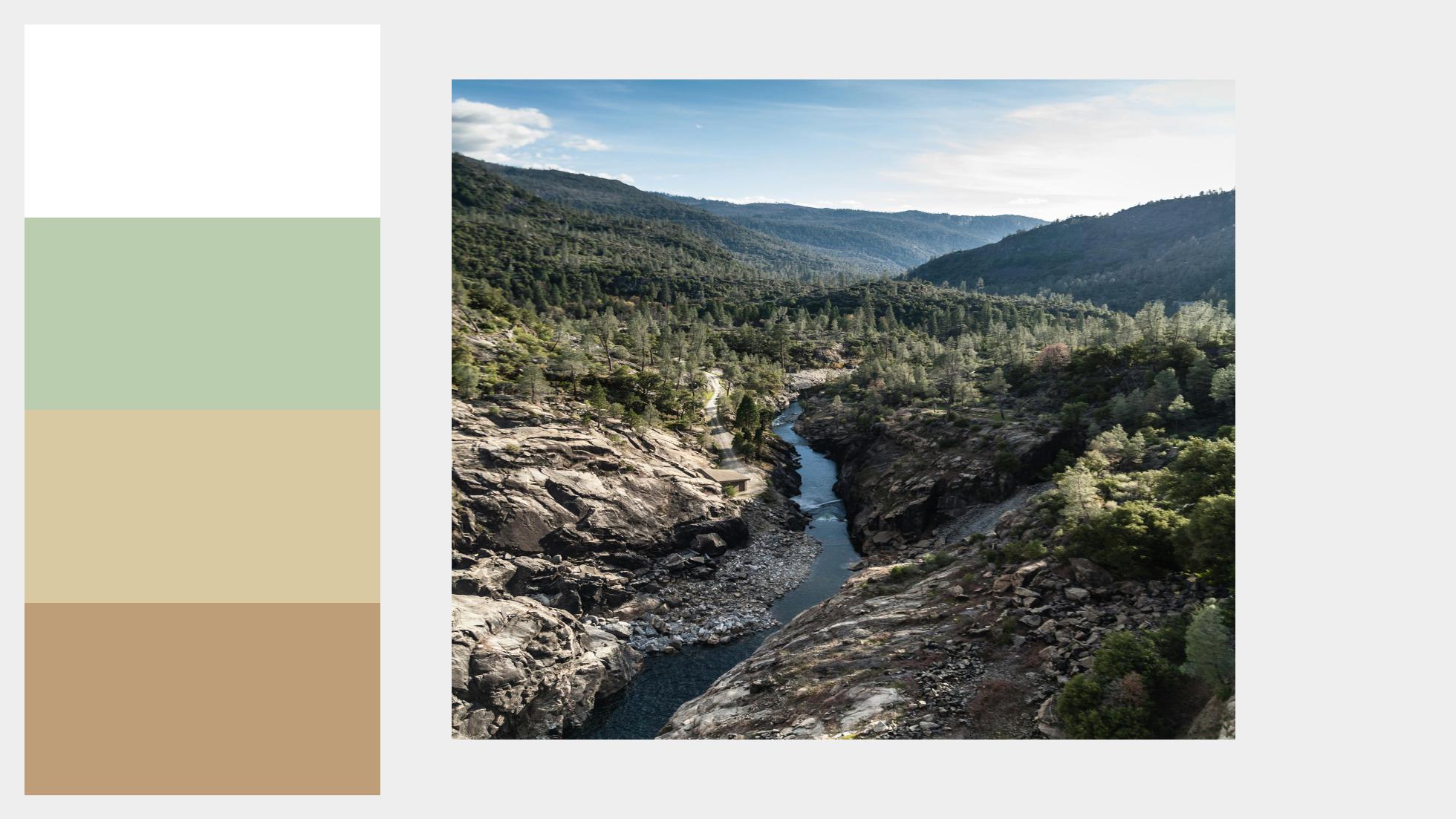 Which color palette speaks to you the most?